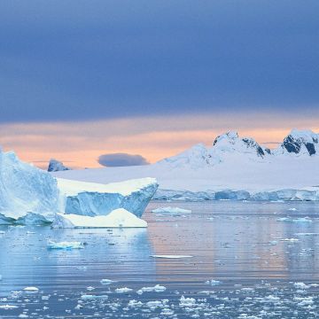 Eisberge im Polarmeer 