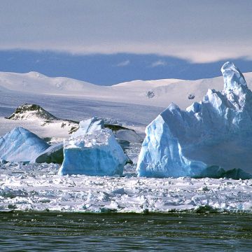Blaue Eisberge driften im Polarmeer