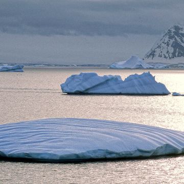 Eisschollen im Polarmeer driften im Sonnenuntergang