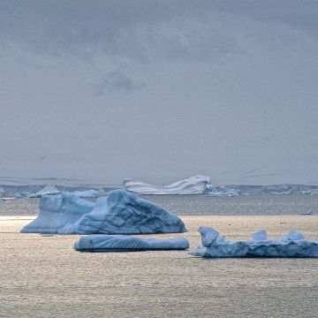 Eisschollen im Drift im Polarmeer