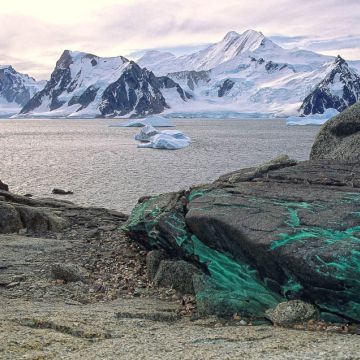 Felsen mit Kupferader in der Antarktis
