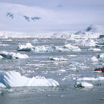 Eisschollen im Polarmeer
